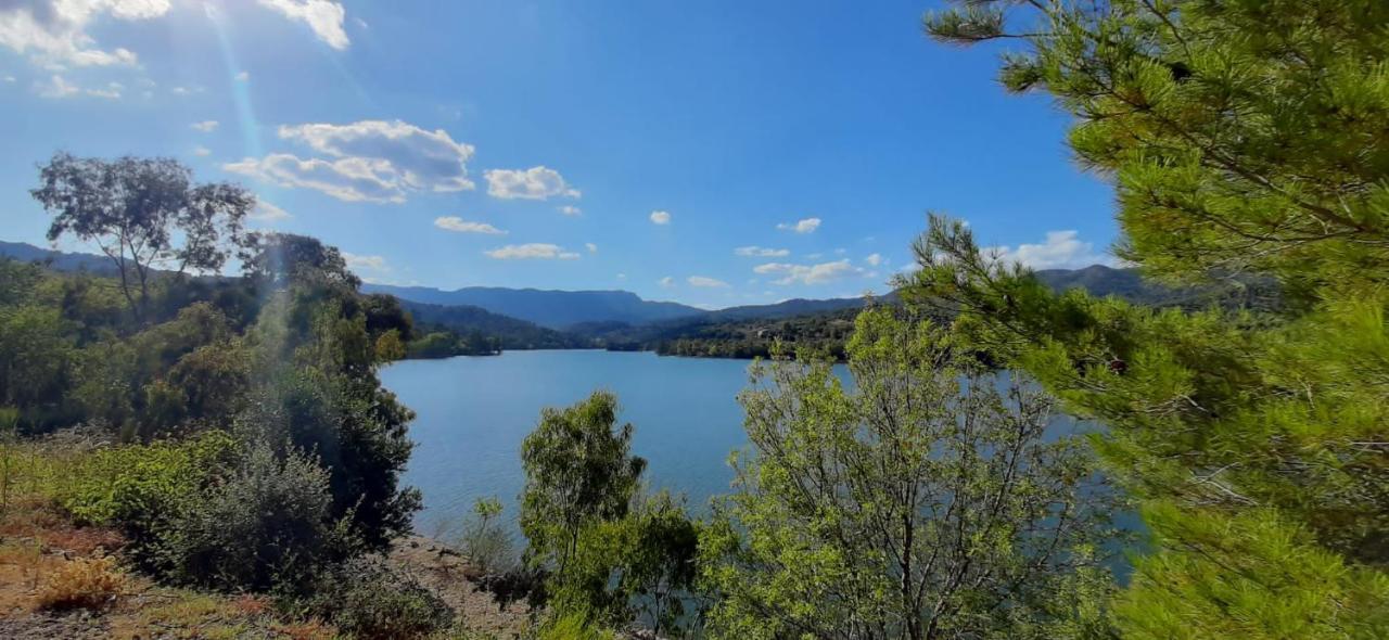 La Casita De Jimena Βίλα Riudecanyes Εξωτερικό φωτογραφία