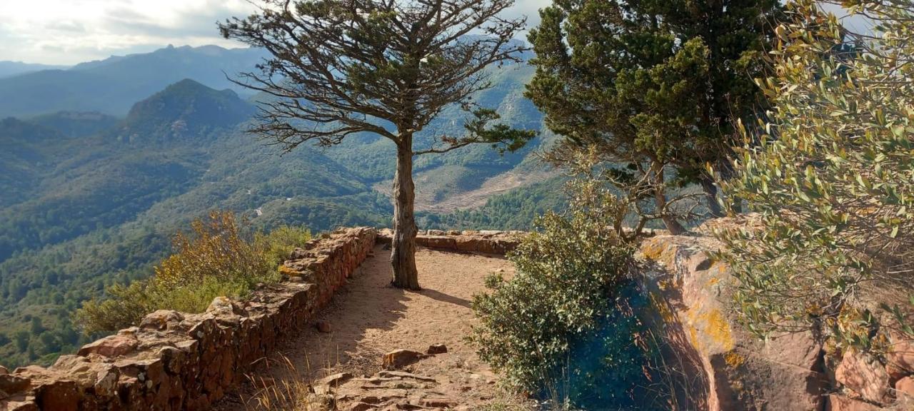 La Casita De Jimena Βίλα Riudecanyes Εξωτερικό φωτογραφία