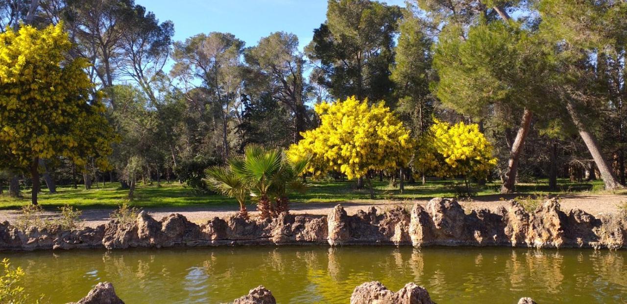 La Casita De Jimena Βίλα Riudecanyes Εξωτερικό φωτογραφία